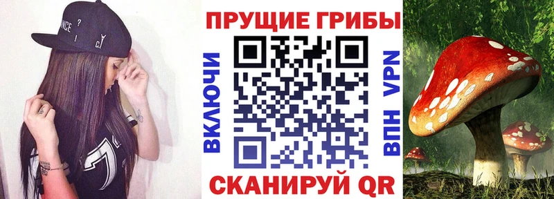 omg рабочий сайт  дарнет шоп  Мыски  Псилоцибиновые грибы Magic Shrooms 