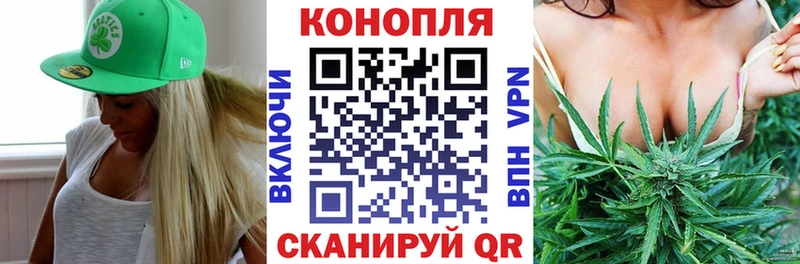 Шишки марихуана OG Kush  Мыски 